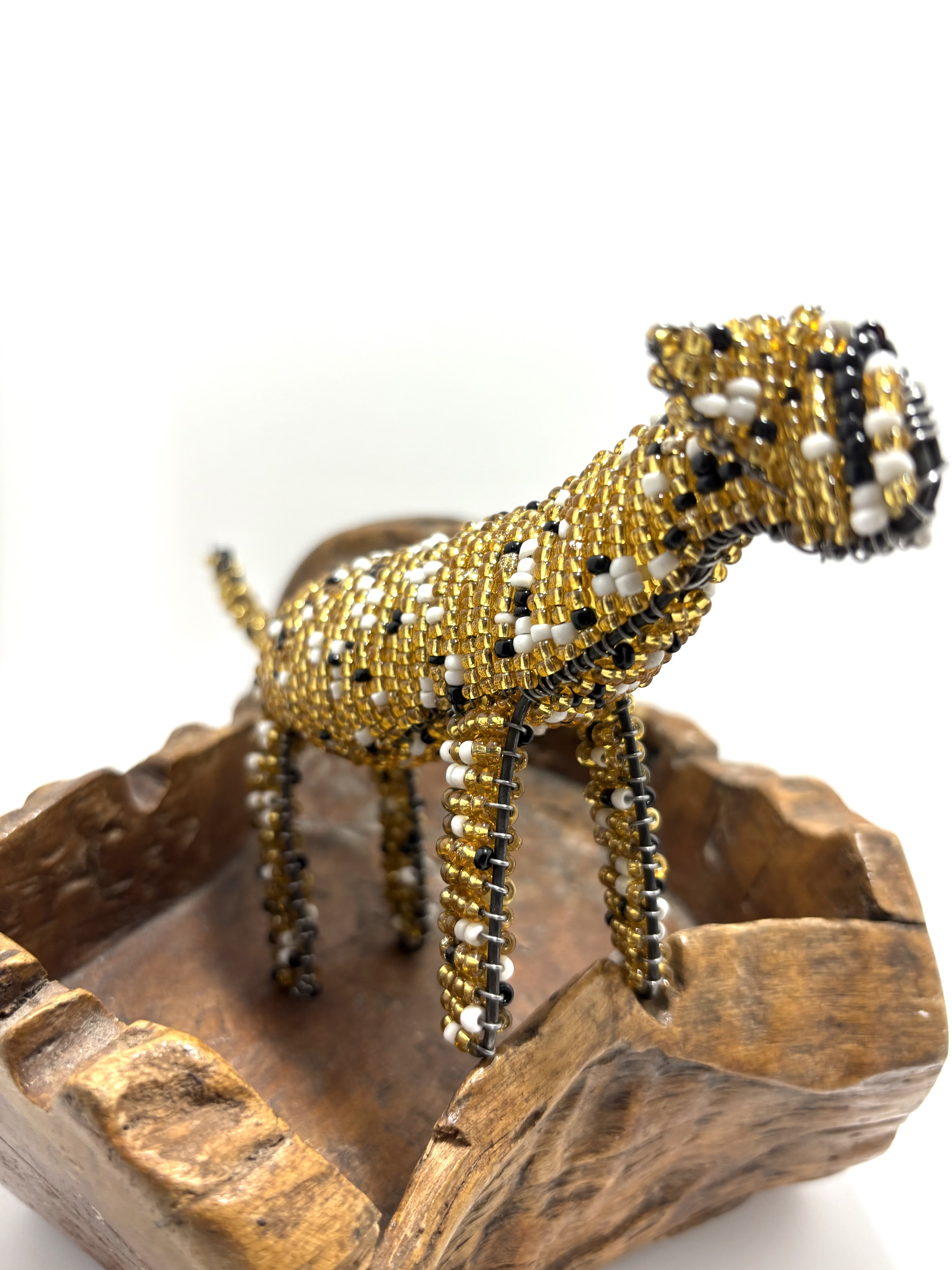 Product Image for Cheetah